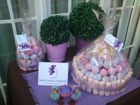 /album/tartas-de-chuches-decoracion-de-mesas-de-chuches-/a1-la-elegancia-del-lila-jpg/